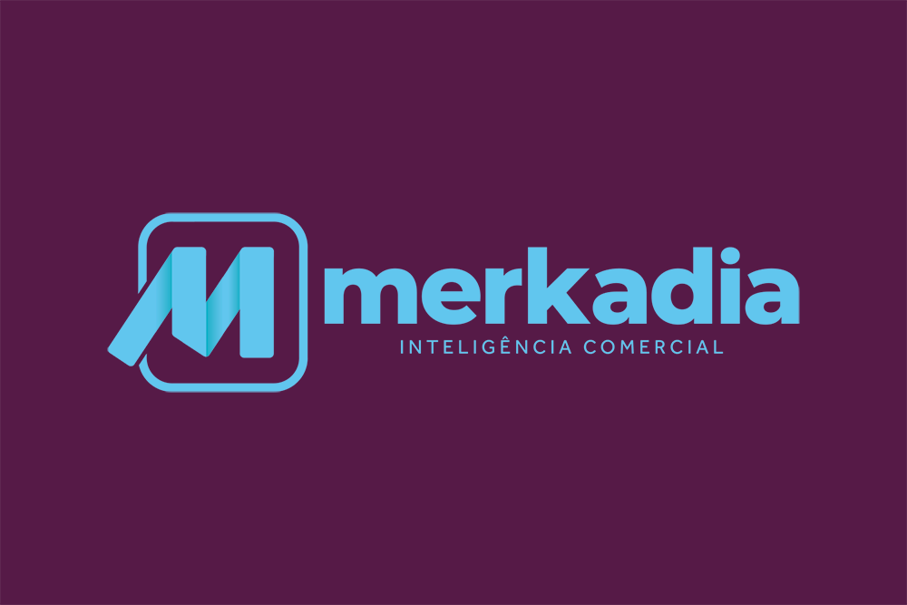 Conheça o Merkadia Aviation: Software para gerenciamento de empresas de manutenção de aeronaves